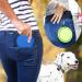 Buy Zuofeng Reisenapf Foldable Dog Water Bowl - Portable Silicone Feeding Set for Cats & Dogs | 3 Colors: Blue Green Red | International Shipping Available - Buy Online on GoSupps.com
