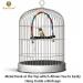 Sungrow Parakeet Budgie & Hummingbird Swing Perch - Wooden Dowel Resting Spot (1-Piece) - Buy Online on GoSupps.com