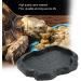 Hffheer Reptile Food Water Dish Durable Reptile Rock Feeder Bowl Tortoise Lizard Resin Water Bowl Reptile Terrarium Food Dish (M-Black) M Black - Buy Online on GoSupps.com