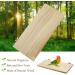 Wooden Parrot Bird Perch Platform for Budgie, Parakeet, Cockatiel, Conure, Chinchillas - Buy Online on GoSupps.com