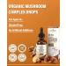 Anven Health 25-in-1 Mushroom Complex Supplement Liquid Drops with Ashwagandha Lion's Mane Reishi Chaga Cordyceps Turkey Tail Tincture for Immunity Energy & Cognition - Non-GMO | 2fl oz - Buy Online on GoSupps.com