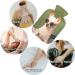 Shop Naanle Funny Chihuahua Heat Bottle 2L Transparent Warm Water Bottle for Pain Relief & Therapy | Hot & Cold Hand & Feet Warmer - Buy Online on GoSupps.com