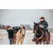 Trailmax Horn Saddlebag & Pommel Pocket Combo | Western & Endurance Saddlebags for Trail Riding | Durable Black Saddlebags for Horses - Buy Online on GoSupps.com