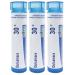 Boiron Dulcamara 30c Homeopathic Medicine for Joint Pain Triggered by Dampness - Pack of 3 (240 Pellets)