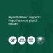 Standard Process Hypothalmex - Brain Support Supplement with Magnesium Citrate & Calcium - 60 Tablets - Buy Online on GoSupps.com