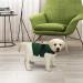 Kittystar Breathable Thunder Shirts for Dogs - Calming Anxiety Vest & Jacket for Puppies - Size S Green - Buy Online on GoSupps.com