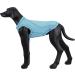 Rukka Pets Chilly UV-Protection T-Shirt for Dogs - Light Blue XS | International Shipping - Buy Online on GoSupps.com