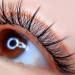 40 Pairs False Eyelashes Set - 3D Dense Natural Reusable Eyelashes - Easy Wear DIY Eyelash Extension Kit for Christmas Parties & Dates - Buy Online on GoSupps.com