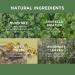 Mugwort Essence - Vegan Hydrating Serum for Sensitive Skin | Redness Relief & Toner for All Skin Types | Korean Beauty - Buy Online on GoSupps.com