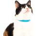 Nuvuq Soft & Light Cat Collar with Breakaway Snap Button - Blueberry Blue - Buy Online on GoSupps.com