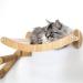 HeyKitten 17 Cat Wall Hammock for 2x4 Stud Mount - Stylish Floating Kitten Shelf for Large Cats - DIY Suspension Kitty Perch in Walnut - Buy Online on GoSupps.com
