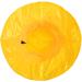 Yellow Wide-Brimmed Vinyl Rain Hat - Toutacoo 02 | Waterproof Headwear - Buy Online on GoSupps.com