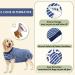 Hipet Recovery Suit for Dogs & Cats | Post-Operation Care | Prevent Licking & Wounds | Male/Female | E-Collar Alternative (S Blue Striped) - Buy Online on GoSupps.com