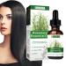 Rosemary oil for hair growth - essential Haard fertilizer oil 60 ml |Natural remedy for hair loss nourishes the scalp for dry damaged hair and growth essential rosemary oil Youding