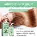 Rosemary Hair Growth Conditioner 100ML Rosemary Strengthening Conditioner for Hair Care Moisturize & Soften Hair Locks In Moisture to Soft Hair & Nourish Scalp (2) - Buy Online on GoSupps.com