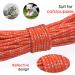Ranypet 15m Reflecting Long Line for Cats & Small Animals - Safe Durable Leash in Orange for Kittens Puppies & Rabbits - Buy Online on GoSupps.com