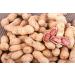 Ginni's Famous Roasted Monkey Nuts - Peanuts in Shell Healthy Party Snacks - Ideal for Home Office Gym Movies - 10 x 120g - Buy Online on GoSupps.com