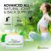 ZenRenu Organic Hemp Cream 4 oz - MSM Turmeric Arnica - Made in USA - Premium Hemp Oil - Buy Online on GoSupps.com
