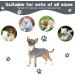Puppy Dog Knitted Pullover Sweater Turtleneck Warm Soft Knit Small Cat Sweater for Cold Weather Dog Jumper Knitwear Warm Dog Cat Jumper Pet Vest Comfortable Pet Coat Costume for Small Dogs (M Grey) - Buy Online on GoSupps.com