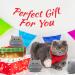 Yamepuia 3Pcs Gray Cat Plush Toy Kawaii Cat Stuffed Animal Pillow Cute Mini Cat Plushies Soft Cat Pillows Cat Shape Design Lumbar Back Cushion Decoration 3PCS Grey Cat Plush - Buy Online on GoSupps.com