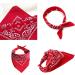 Awocan Red Dog Cowboy Hat & Bandana Scarf - Perfect Pet Costume for Parties & Vacations | International Shipping - Buy Online on GoSupps.com