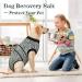 Kuoser Dog Recovery Suit - Post-Op Body for Dogs & Cats | Breathable Anti-Lick E-Collar Alternative | Ideal for Male Castration & Surgery - Buy Online on GoSupps.com