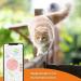 Weeneect XS for Cats - Mini GPS Tracker | Real-Time Tracking | Unlimited Distance | Smallest Model | Collar Included | 2023 Subscription - Buy Online on GoSupps.com