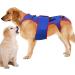 Dog Back Brace - Dog Hip Rehabilitation Gear Pet Spine Support Clothing Waist | Waist Protection Support Garment with Reflective Strips Relief Auxiliary Belt for Dogs (26x48 Cm) Xl - Buy Online on GoSupps.com