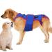 Dog Back Brace - Dog Braces for Back Leg for Support | Pet Support and Rehab Harness Dog Back Brace for Dogs | D-Ring and Reflective Strips Back Protector Support Helps Hurt Relief Dogs Back XL