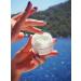 Superfood Repairing Overnight Cream | Intense Moisturizer for Repair & Soothing | International Shipping Available - Buy Online on GoSupps.com