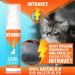 Saint Nutrition Intravet Cat DEFENSE Spray - Effective Indoor & Outdoor Cat Repellent by Tomcat - Stop Cats from Entering Your Space - Buy Online on GoSupps.com