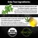 Organic Peppermint & Hemp Seed Oil Rollon for Headache & Pain Relief - Metal Rollerball - Made in USA - Buy Online on GoSupps.com