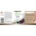 Fairvital | Chaga 500mg VEGAN - High dosed - 90 capsules - Inonotus obliquus - mushroom powder - Buy Online on GoSupps.com