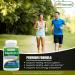Best Naturals Vitamin B1 as Thiamine Mononitrate 100 mg & Vitamin B2 (Riboflavin) 400mg - Buy Online on GoSupps.com