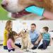 4pcs Dog Toothbrush Dog Finger Toothbrush Dog Toothpaste Finger Toothbrush Dog Dog Toothbrush Finger Cat Toothbrush For Dogs Cats And Small Pets Dental Care Easy Dog Teeth Cleaning - Buy Online on GoSupps.com