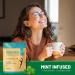 Eco-Friendly Mint Dental Floss Sticks - 150 Count (Pack of 1) - Buy Online on GoSupps.com