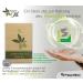Present-More Shower Cap Beauty Oil - 250 Individually Bagged Caps for Hotels & B&B | Eco-Friendly Stone Paper Packaging - Buy Online on GoSupps.com