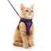 rabbitgoo cat dishes cat linen set cat dishes with leash dishes cats outbreakingly adjustable soft with reflective stripes for cats kitten puppies Cat harness leash purple m (1 Pack) purple