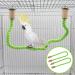 Dnoifne 2 pieces of bird hemp rope bird cage rod accessories paw loops standing seat rod for parrot paramedic budgies lovebirds (L (100 cm) green 39.37 "/100 cm