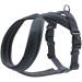 HUNTER Harness London Comfort XS-S Anthracite XS-S