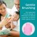 The Brushies Toothbrush for Babies & Toddlers - Pink | International Shipping Available - Buy Online on GoSupps.com