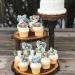 36-Piece Woodland Animal Cupcake Topper Set - Jungle Safari & Baby Shower Decorations - Buy Online on GoSupps.com