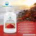 Nature's Lab AstaREAL Astaxanthin - 6mg Antioxidant for Skin, Eyes, Joints - 60 Capsules - Buy Online on GoSupps.com