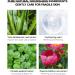 Arbutin Whitening Toner Deep Nourishing Restore Delicate Skin Arbutin Skin Toner 100ml Plant Extract Vitamin C for Daily Use for Rough Skin - Buy Online on GoSupps.com