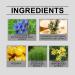 Organic Herbal Salve 4oz - Comfrey Cream Ointment | Natural Plant Extracts for Healing & Moisturizing - Buy Online on GoSupps.com
