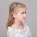 8 PCS Mini Crystal Rhinestone Princess Crown Hair Comb Set for Girls - Perfect Birthday Party Hair Decoration - Buy Online on GoSupps.com