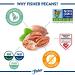 Fisher Pecan Halves 16oz | Unsalted, No Preservatives | Gluten Free, Non-GMO | Vegan, Paleo, Keto | Pack of 1 - Buy Online on GoSupps.com