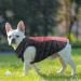 Dog Winter Coat Waterproof Dog Jacket Vest for Medium Large Dogs Warm Pet Coats with Harness Outdoor Puppy Coat Vest Reflective Winter Dog Clothes for Beagle Chenery Dachshund(L/43cm Pink) L/43cm Pink - Buy Online on GoSupps.com