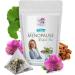 Menopause Support Tea - Menopause Relief - Green Tea Mix - Menopause Tea - Night Sweats Relief - Hot Flashes Relief - Licorice Root - Black Cohosh Tea - Reduce symptoms of menopause - 1 Pack 14 Bags