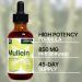 Mullein Leaf Liquid Extract - Lung Cleanse & Immune Support Tincture - 45-Day Supply, 2 fl oz - Buy Online on GoSupps.com